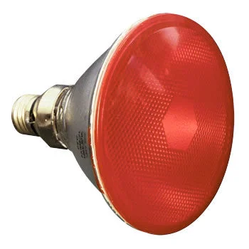 bulbstock52300