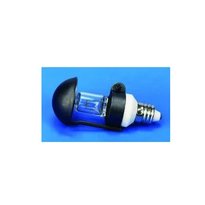 bulbstock53769