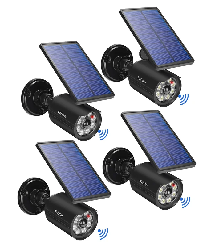 lightsdaddy103089