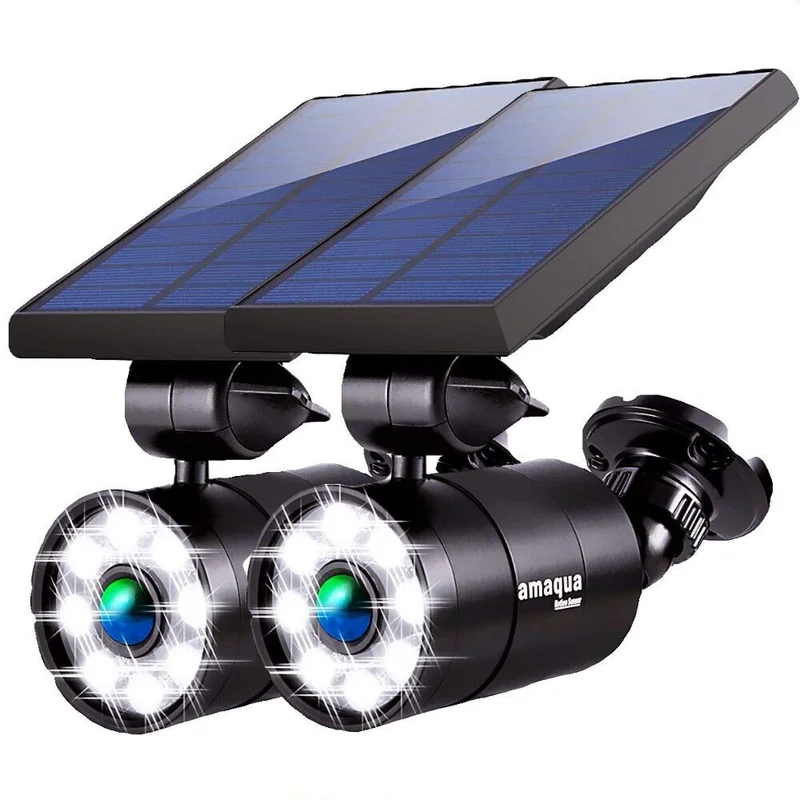 lightsdaddy106974