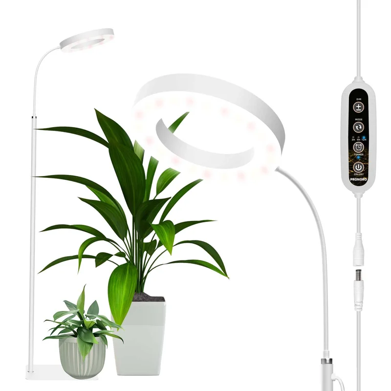 lightsdaddy107270