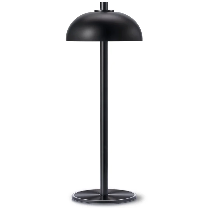 lightsdaddy113308