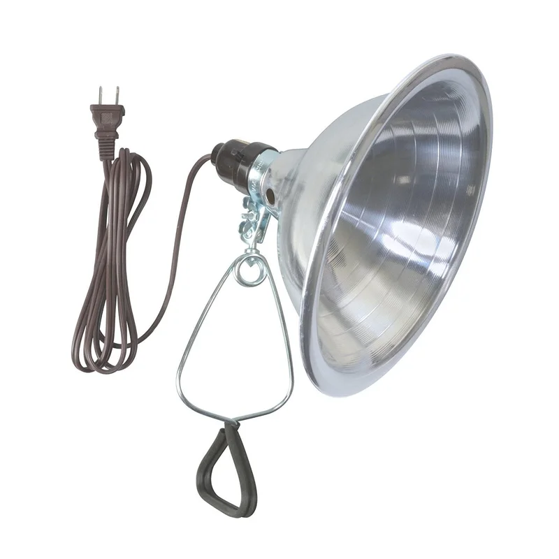 lightsdaddy114210