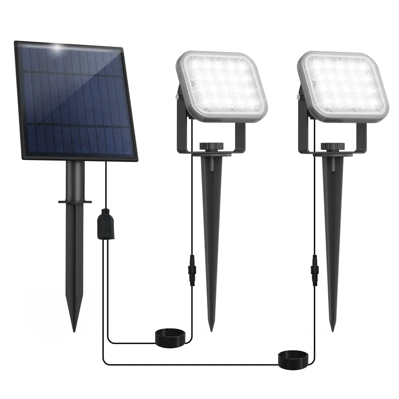 lightsdaddy117051