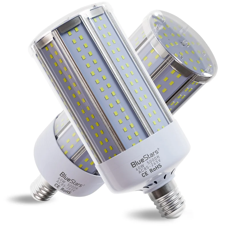 lightsdaddy126081