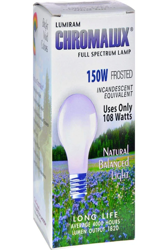 lightsdaddy132067