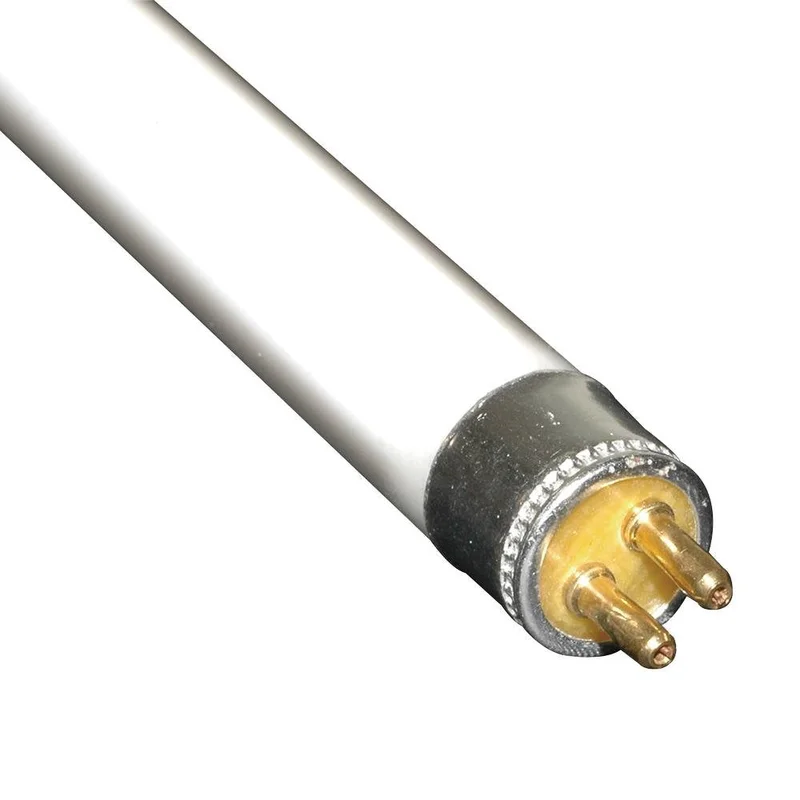 lightsdaddy179020