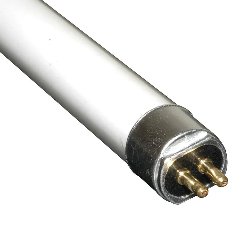 lightsdaddy179363