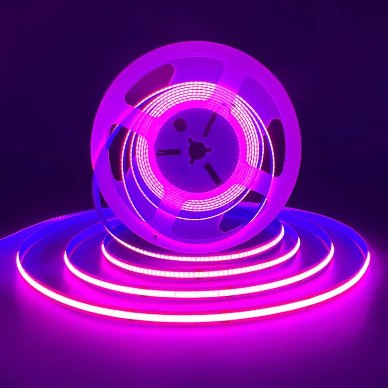 lightsdaddy183958