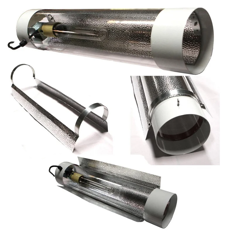 lightsdaddy185024