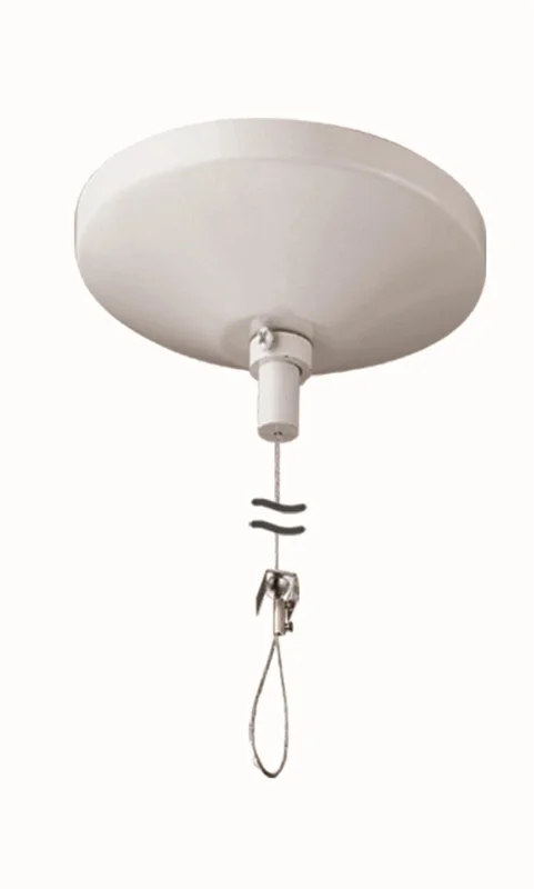 lightsdaddy186554