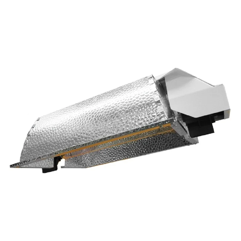 lightsdaddy193943