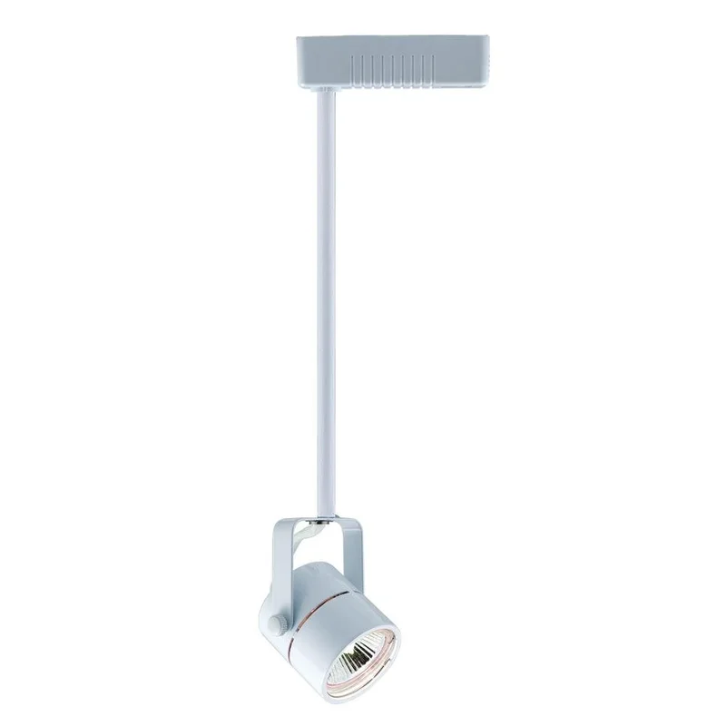 lightsdaddy194836