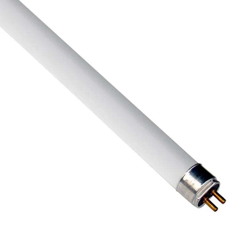 lightsdaddy197879
