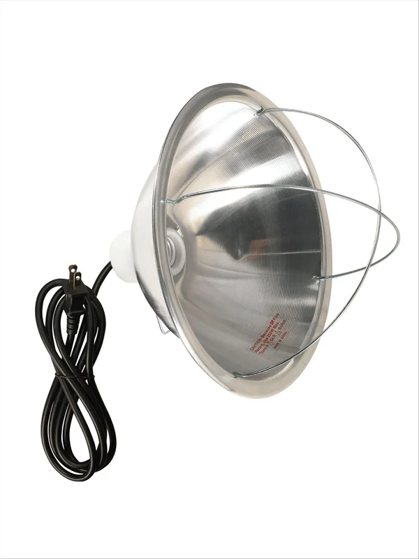 lightsdaddy200730