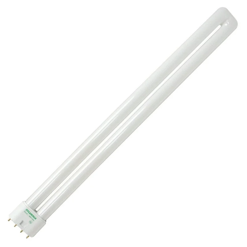 lightsdaddy239762