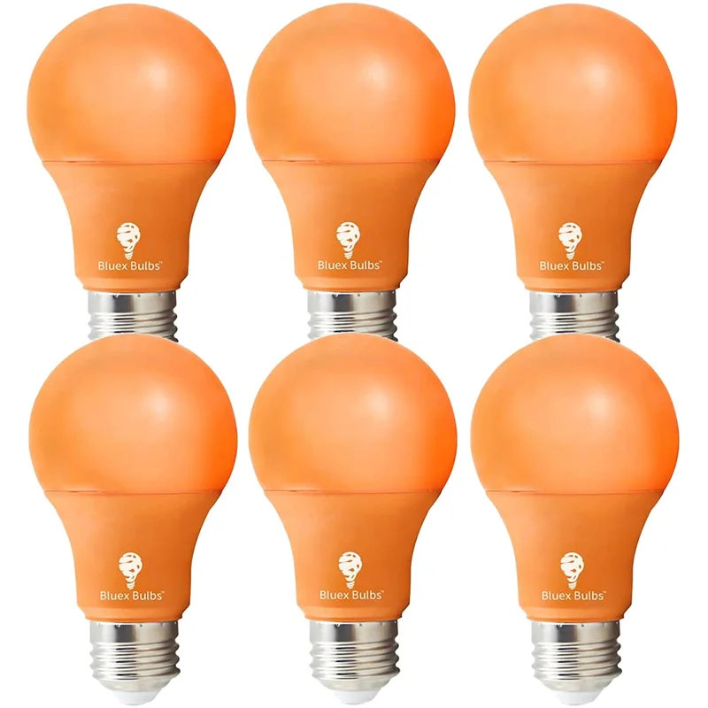 lightsdaddy239805