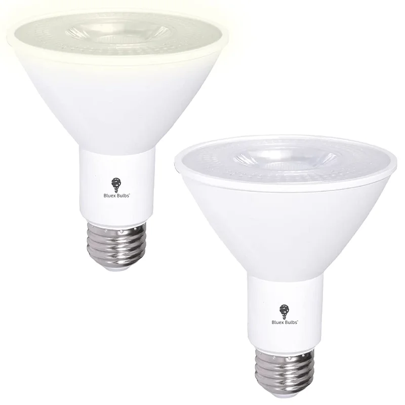 lightsdaddy240071