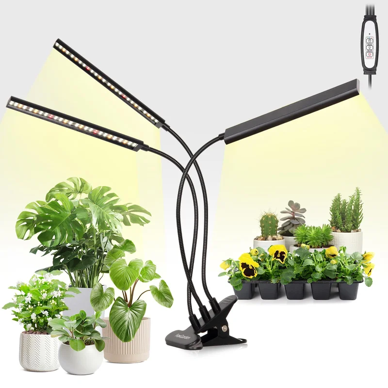 lightsdaddy240690