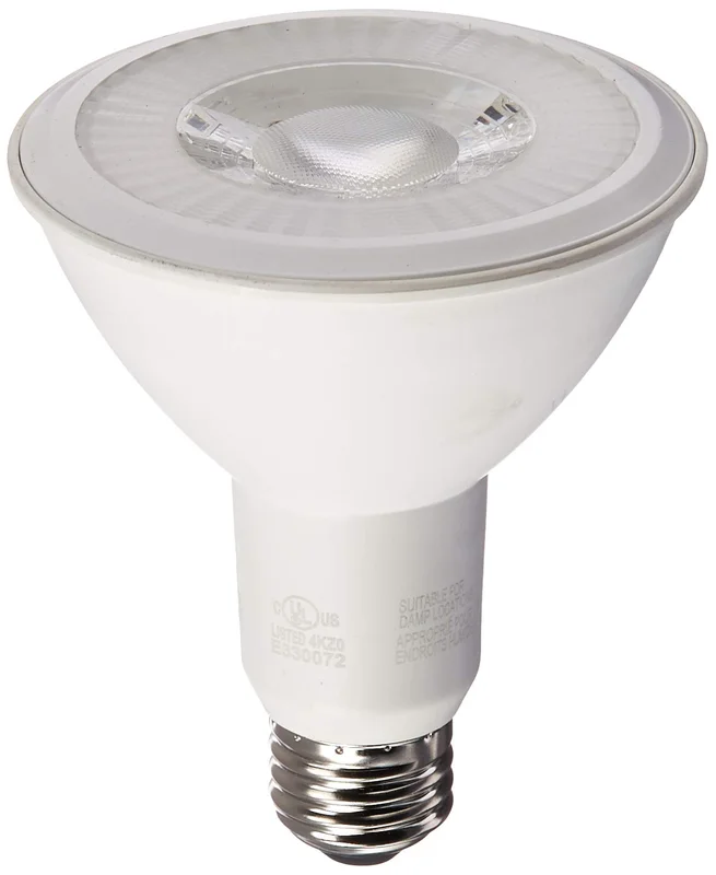 lightsdaddy240753