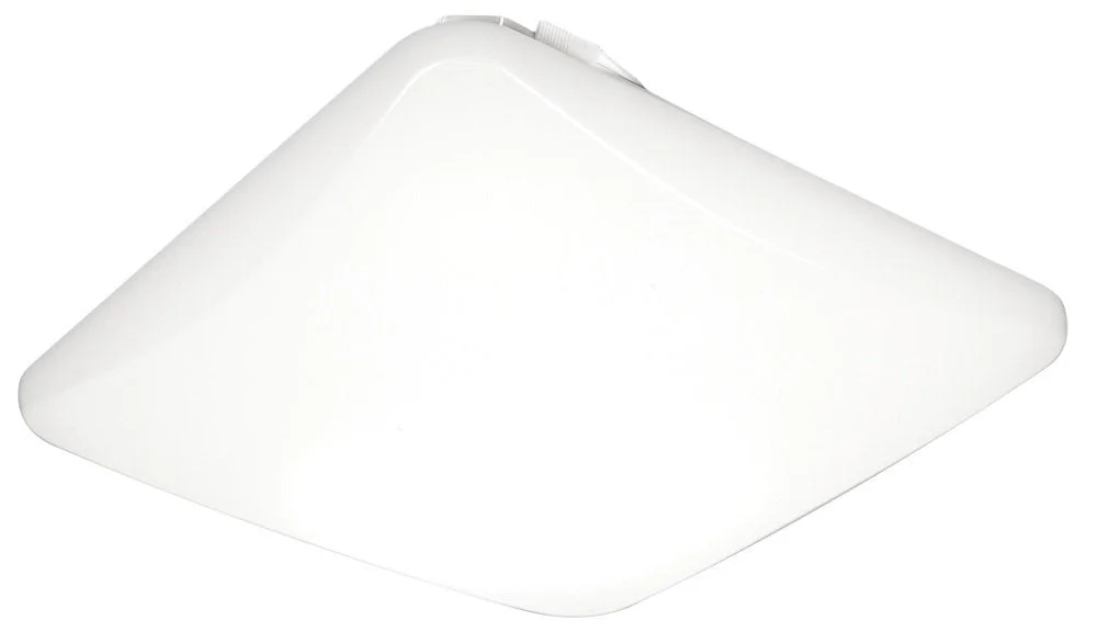 lightsdaddy240882
