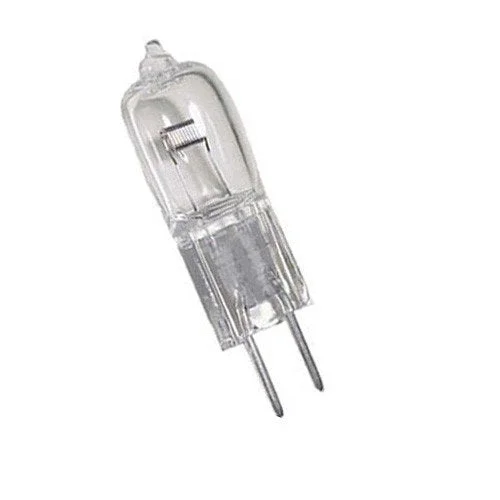 lightsdaddy240957