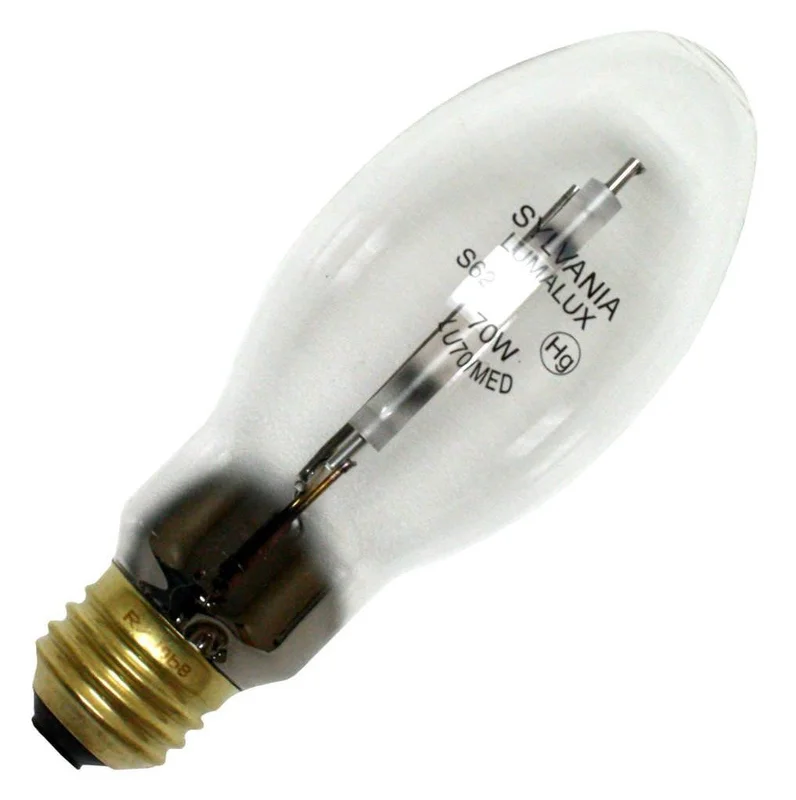 lightsdaddy242388