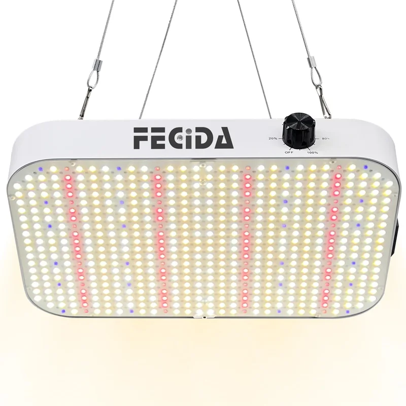 lightsdaddy242985