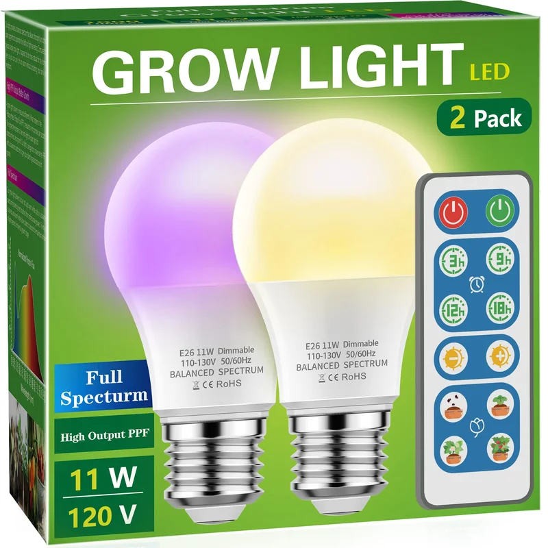lightsdaddy243257
