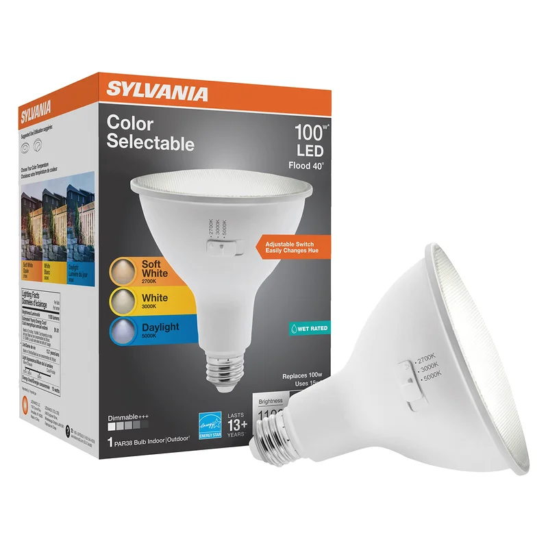 lightsdaddy245065