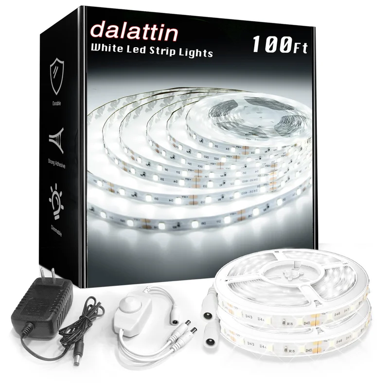 lightsdaddy250102