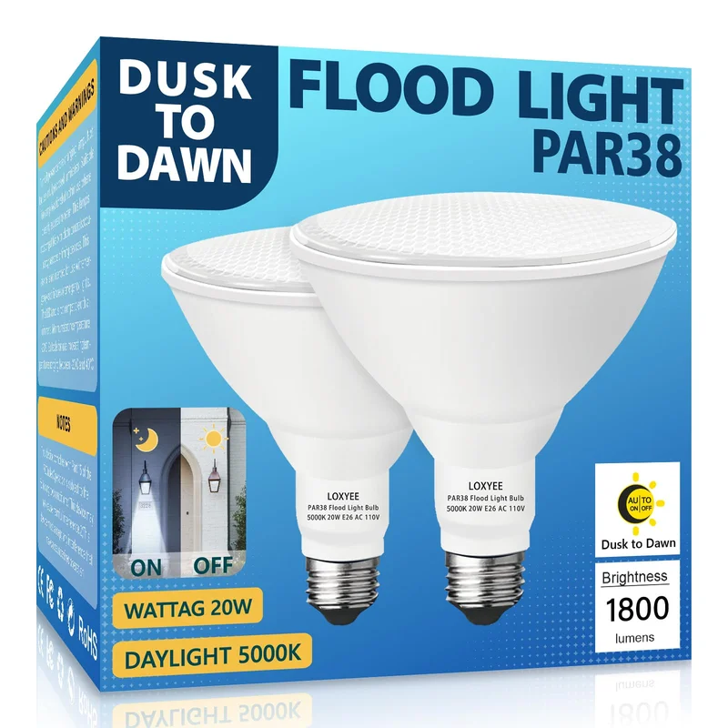 lightsdaddy255433