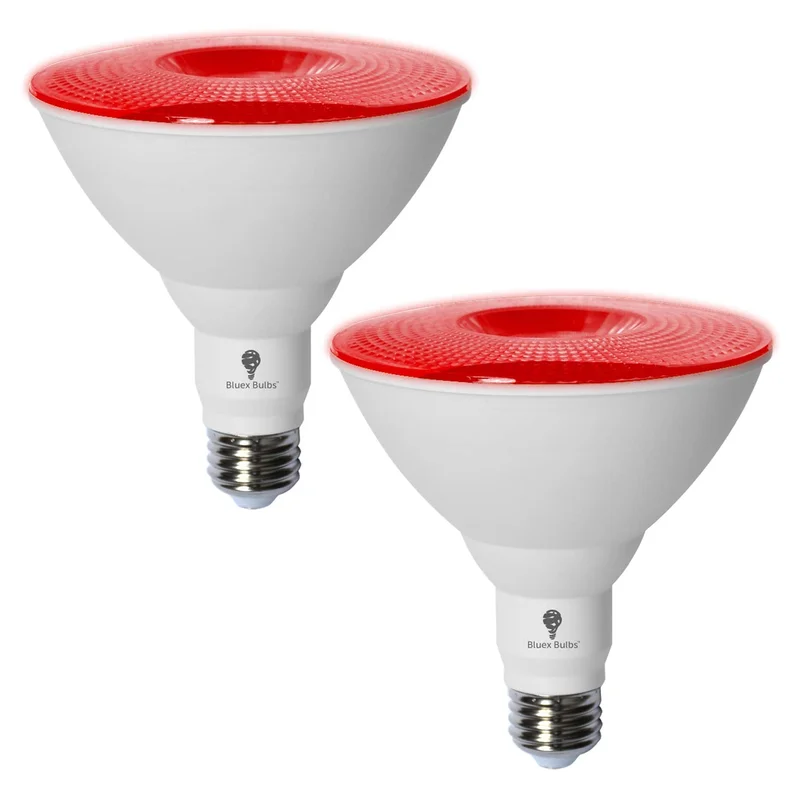 lightsdaddy256824