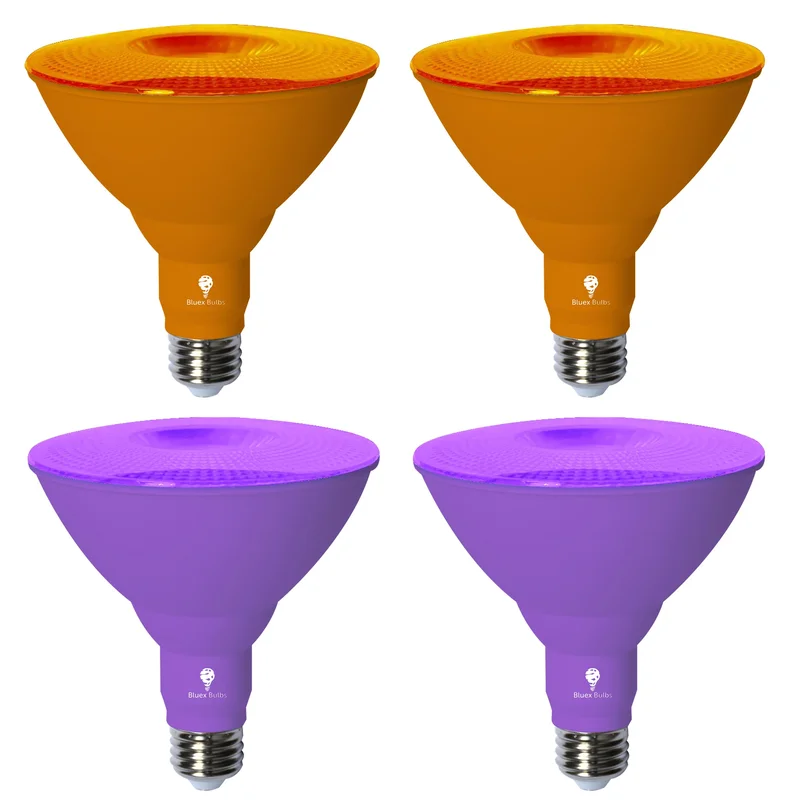 lightsdaddy260756