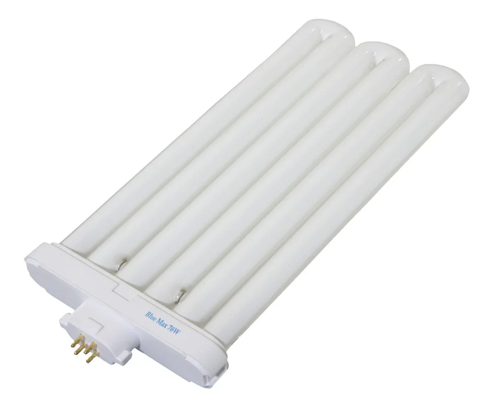 lightsdaddy293180
