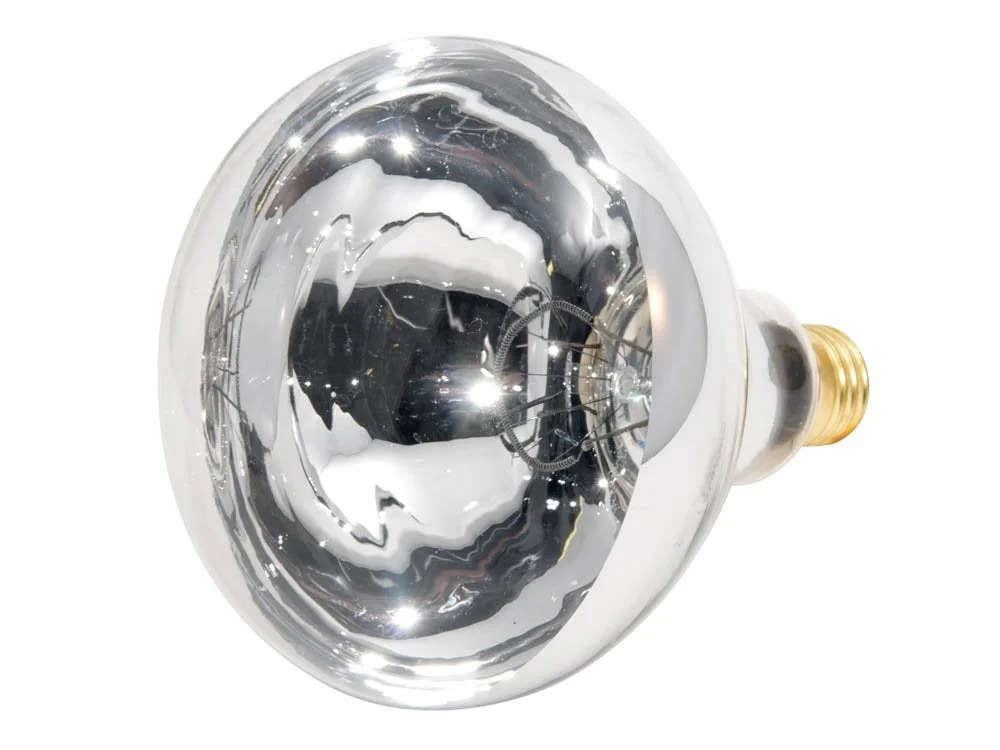 lightsdaddy297517