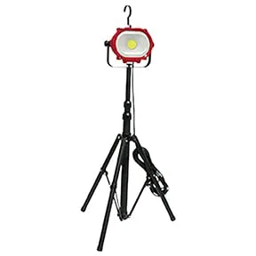 lightsdaddy301660