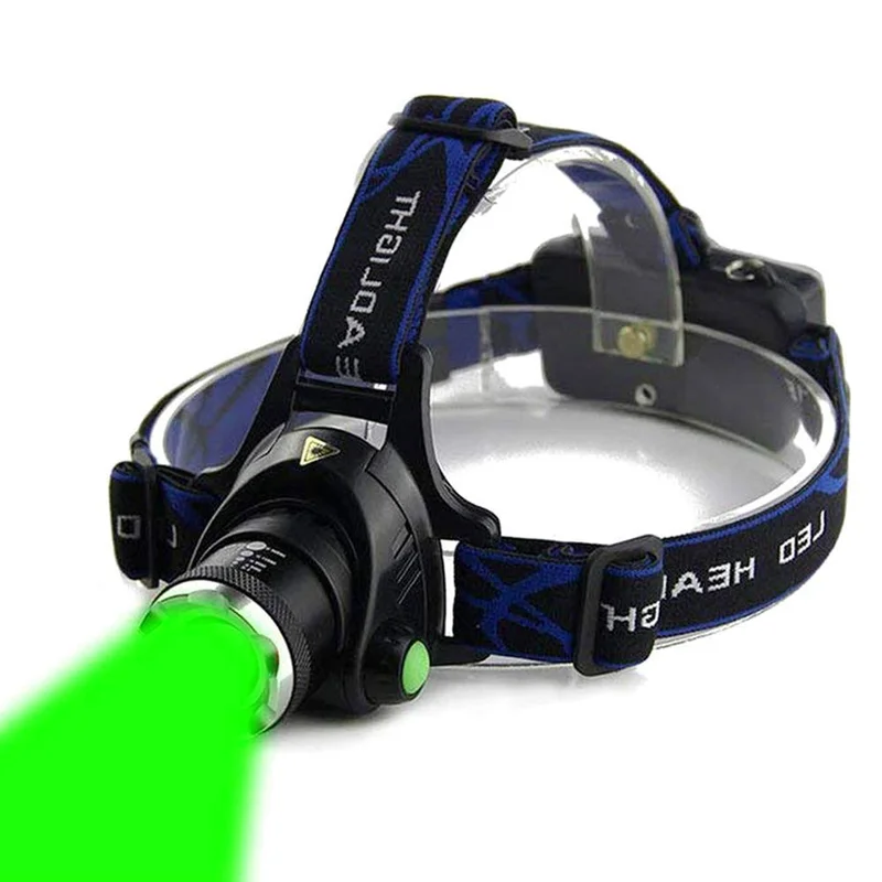 lightsdaddy318835