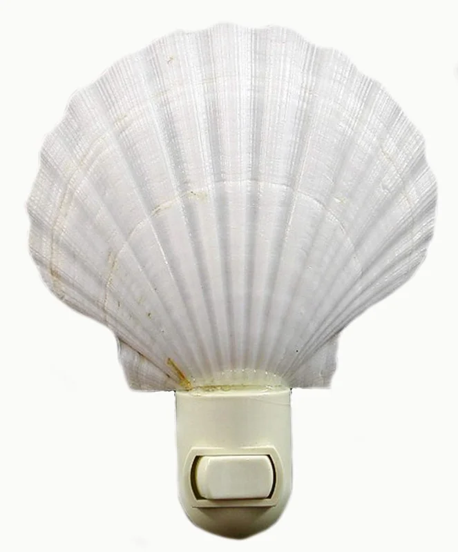lightsdaddy319298