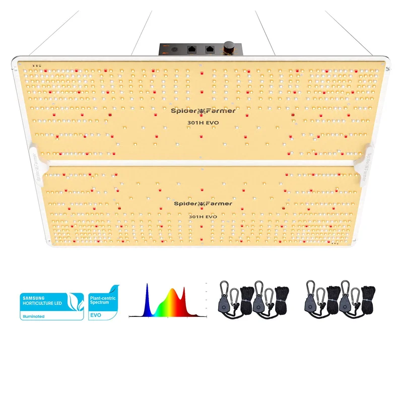 lightsdaddy323028