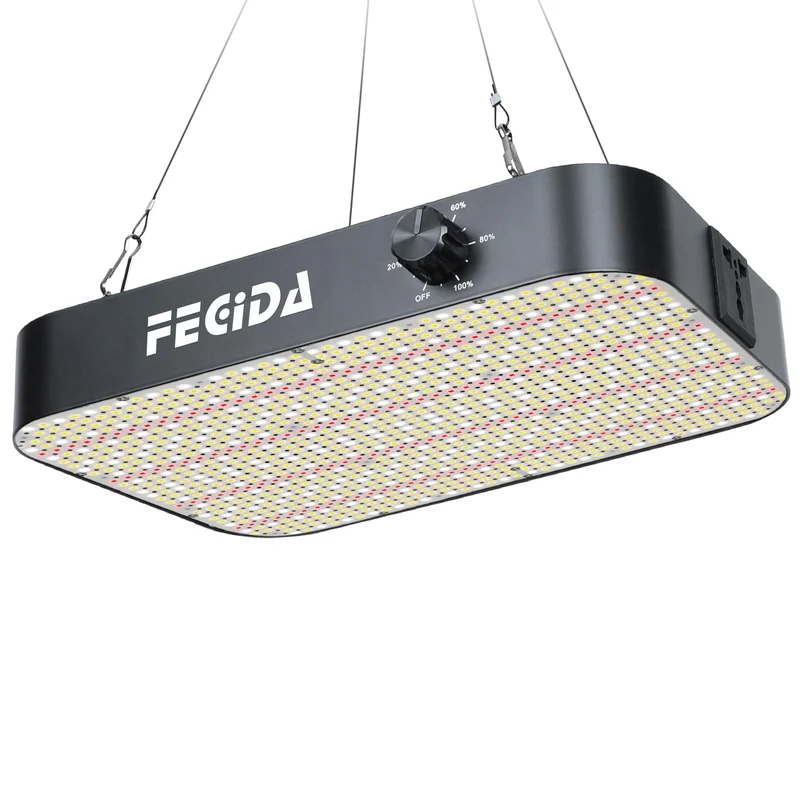 lightsdaddy329509