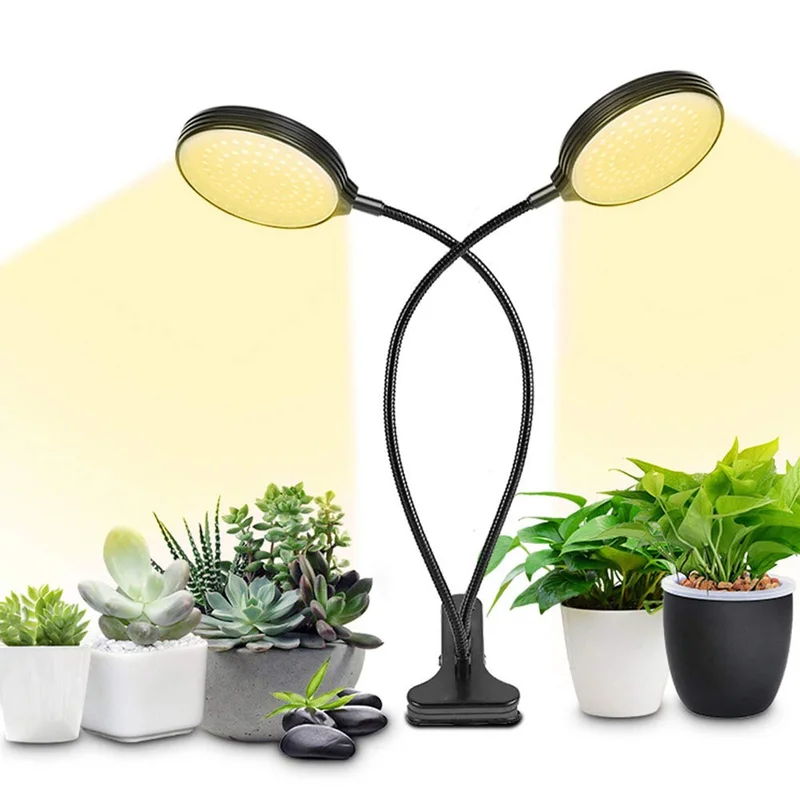 lightsdaddy330502