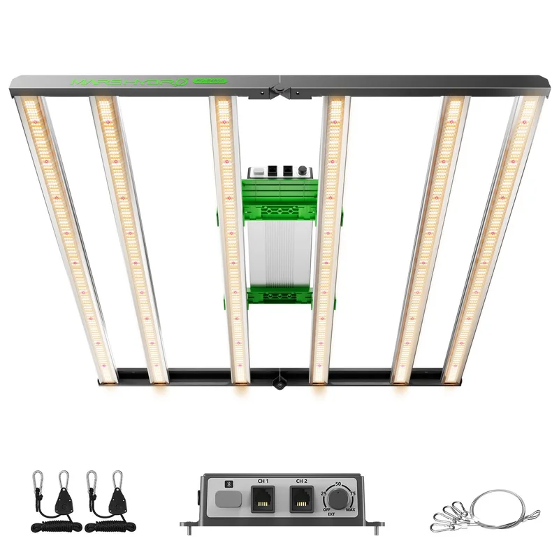 lightsdaddy330974