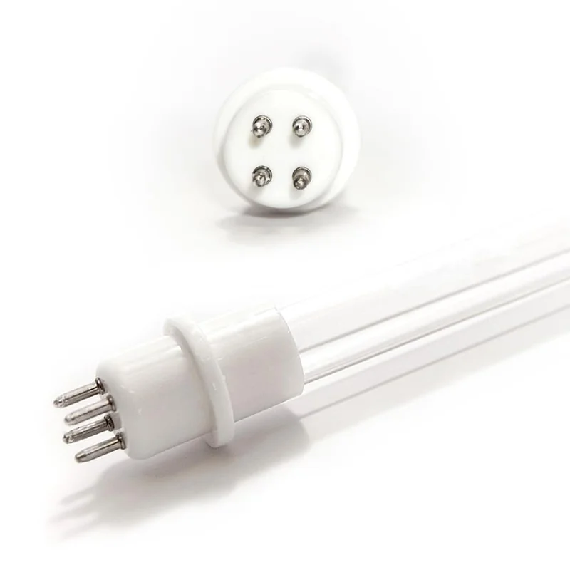 lightsdaddy335550