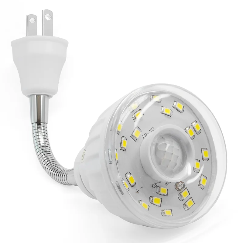 lightsdaddy339058