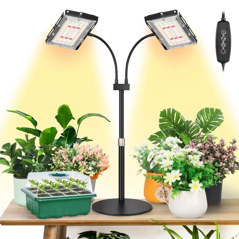 lightsdaddy348096