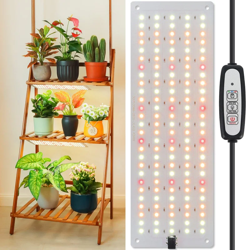 lightsdaddy349082