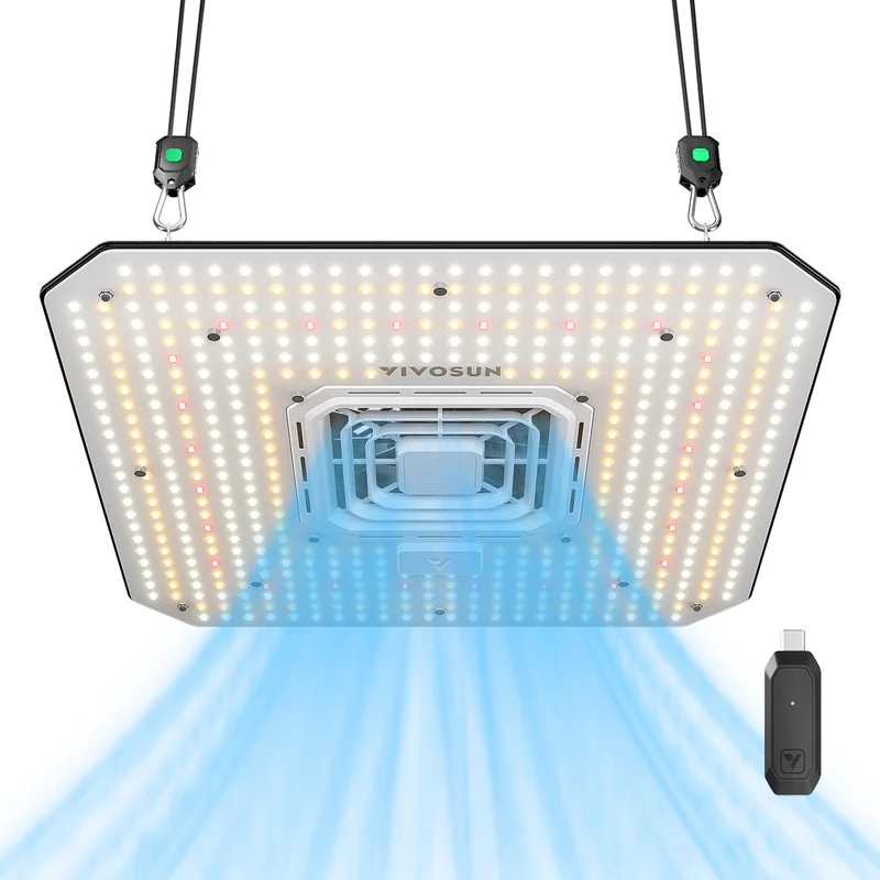lightsdaddy350165