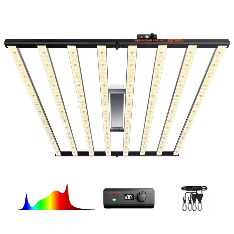 lightsdaddy351643