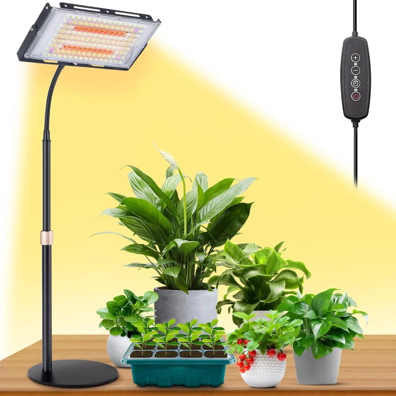 lightsdaddy359073